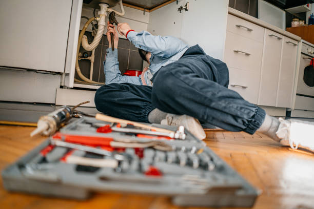 Best Septic Systems  in Jenison, MI