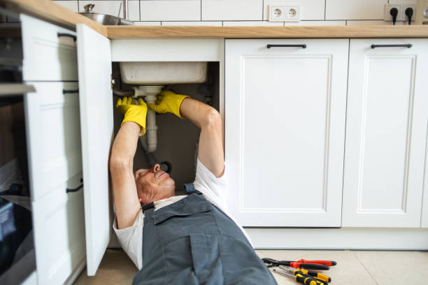 Best Affordable Plumber Near Me  in Jenison, MI