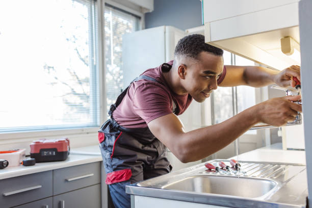 Best Plumbing Inspection Services  in Jenison, MI