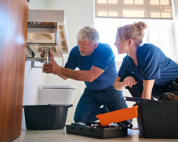 Best Sprinkler Systems  in Jenison, MI